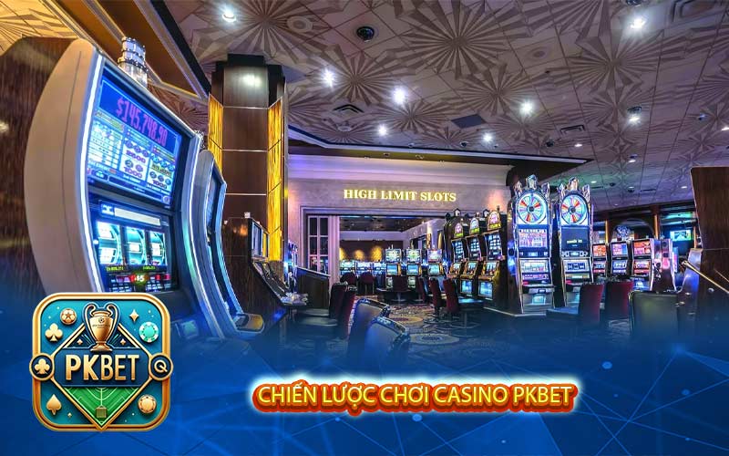 Casino Pkbet - Mèo Và Chiến Lược Để Chiến Thắng