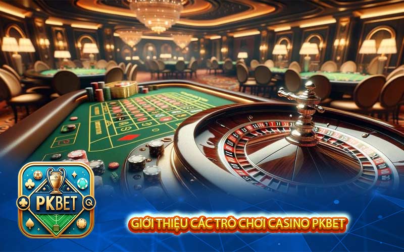 Casino Pkbet - Mèo Và Chiến Lược Để Chiến Thắng