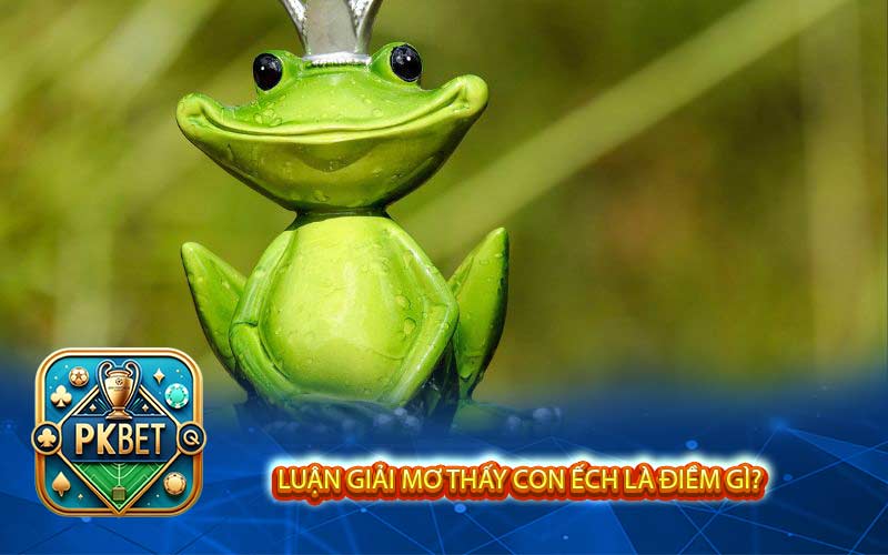 Mơ Thấy Con Ếch Số Mấy? Mơ Thấy Ếch Có Tốt Không?