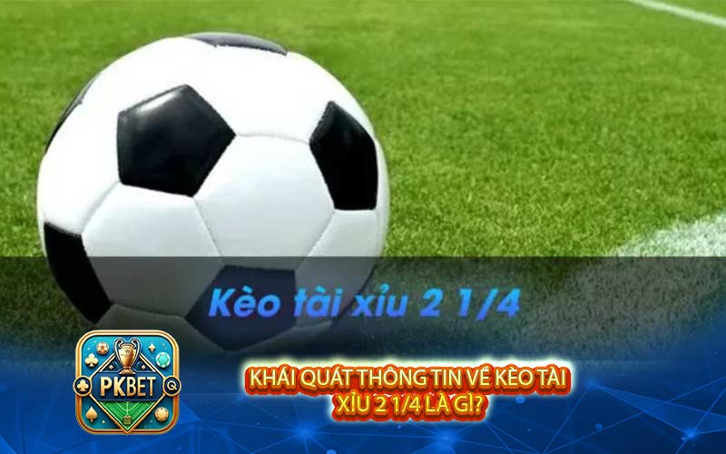 Tài Xỉu 2 1/4 Là Gì? Kinh Nghiệm Chắc Thắng 99% Từ Cao Thủ