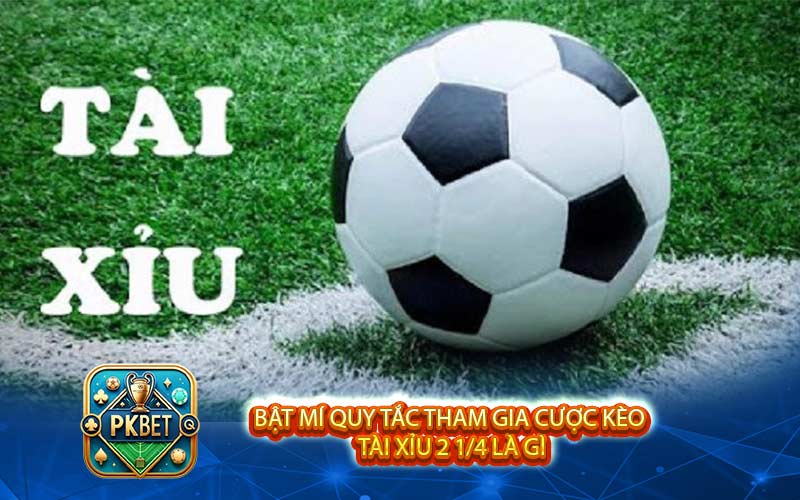 Tài Xỉu 2 1/4 Là Gì? Kinh Nghiệm Chắc Thắng 99% Từ Cao Thủ