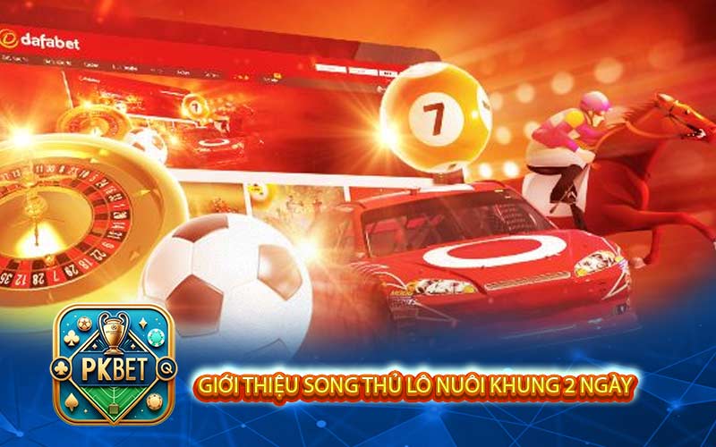 Hướng Dẫn Chơi Song Thủ Lô Nuôi Khung 2 Ngày Hiệu Quả