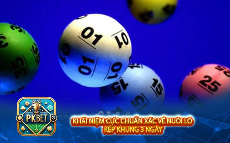 Cách Nuôi Lô Kép Khung 3 Ngày Bất Bại Mới Nhất 2026