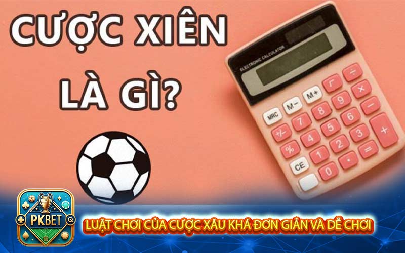 Cược Xiên Là Gì? Hướng Dẫn Chơi Cược Xiên Đơn Giản Và Dễ Thắng