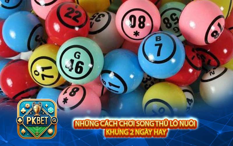 Hướng Dẫn Chơi Song Thủ Lô Nuôi Khung 2 Ngày Hiệu Quả