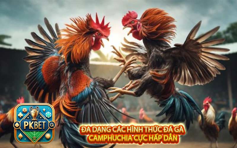 Đá Gà Camphuchia Nổi Tiếng, Thịnh Hành Hàng Đầu 2026