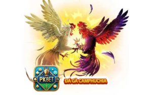 Đá Gà