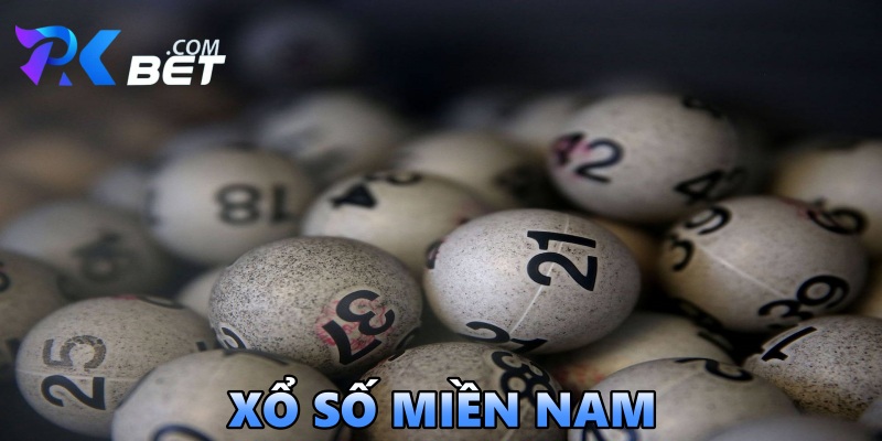 Dàn Đề 50 Số Là Gì? Bật Mí Cách Tạo Dàn Đề Chuẩn Nhất 2026 