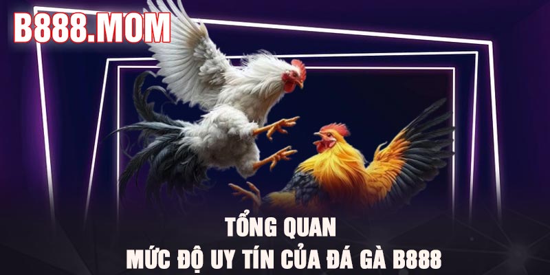 Đá Gà B888 – Thiên Đường Làm Giàu Cho Kê thủ 2026