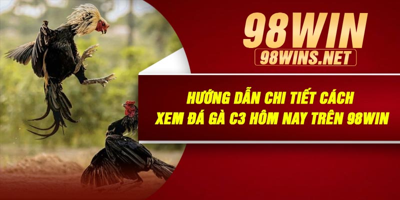 Xem Và Cá Cược Đá Gà C3 Hôm Nay Tại 98Win – Trải Nghiệm Đỉnh Cao