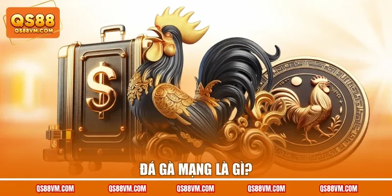 Đá Gà Mạng - Tổng Hợp Bí Kíp Đặt Cực Chọi Kê Siêu Chuẩn