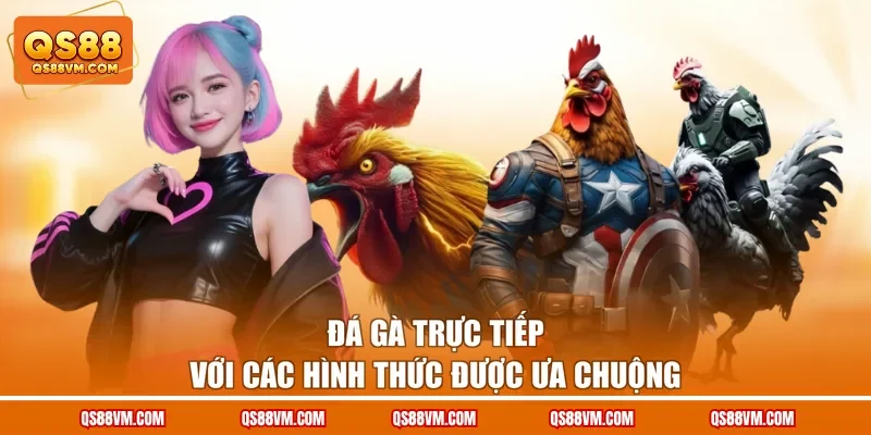 Đá Gà Trực Tiếp QS88 Quy Tụ Nhiều Trận Đấu Siêu Kịch Tính