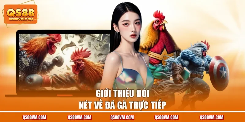 Đá Gà Trực Tiếp QS88 Quy Tụ Nhiều Trận Đấu Siêu Kịch Tính