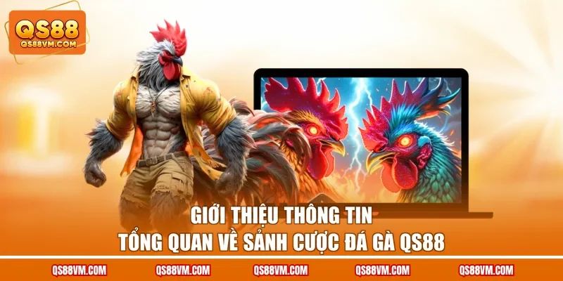 Đá Gà QS88 - Sảnh Đổi Thưởng Với Nhiều Kèo Cược Kịch Tính