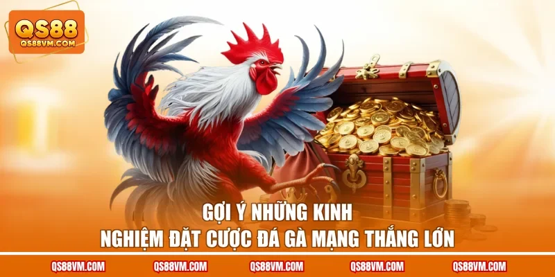 Đá Gà Mạng - Tổng Hợp Bí Kíp Đặt Cực Chọi Kê Siêu Chuẩn