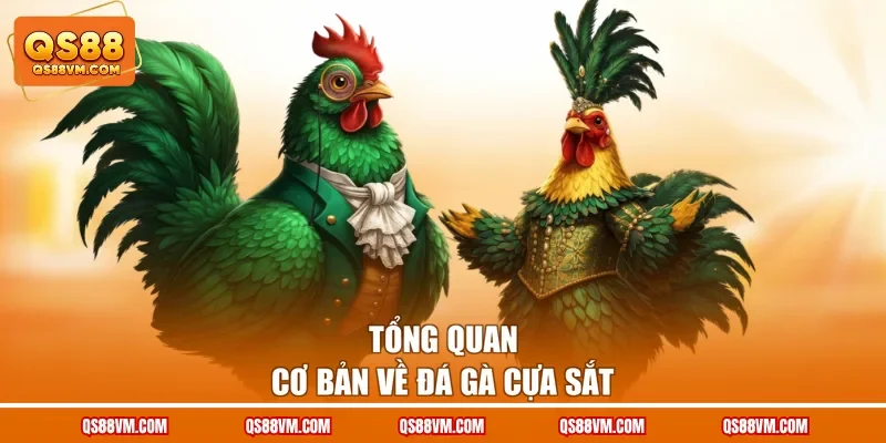 Đá Gà Cựa Sắt - Theo Dõi Các Màn So Tài Đỉnh Cao Mỗi Ngày
